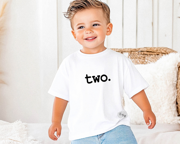 Toddler T-Shirt, Children's Birthday Shirt, Kids Birthday Tee Shirt, Lots Of Text & Shirt Colors, Toddler Crewneck Shirt, Toddler Birthday